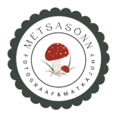 Metsasõnn